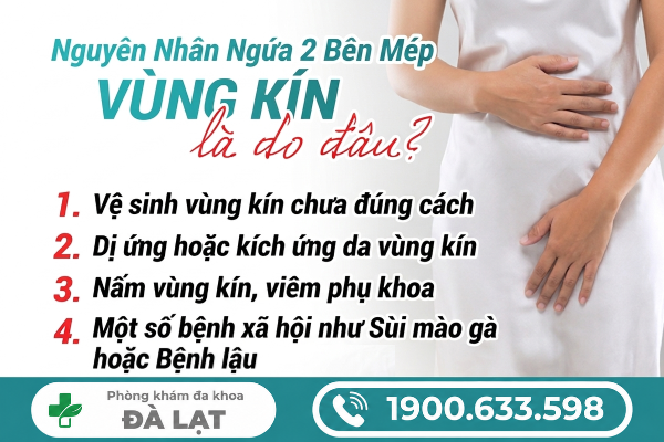 Hình ảnh minh họa
